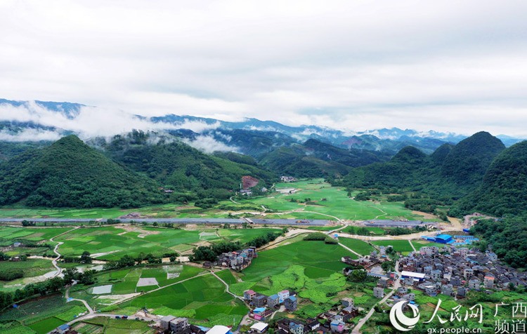 广西：夏日田园风光好