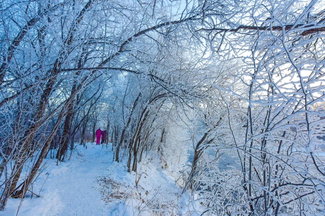 醉美黑河 | 冰雪北国 恋恋黑河_fororder_微信图片_20220112084326