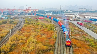 中欧班列（成渝）首年开行量超4800列 线路通达欧洲100余个城市