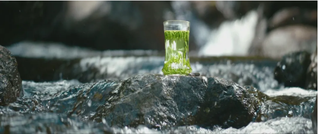 2022:苦尽甘来 2022:苦尽甘来