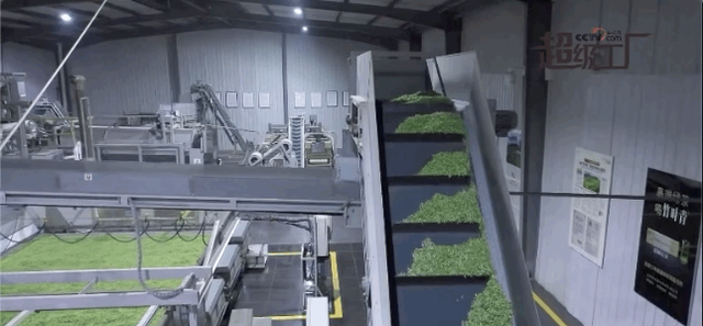 2022:苦尽甘来 2022:苦尽甘来