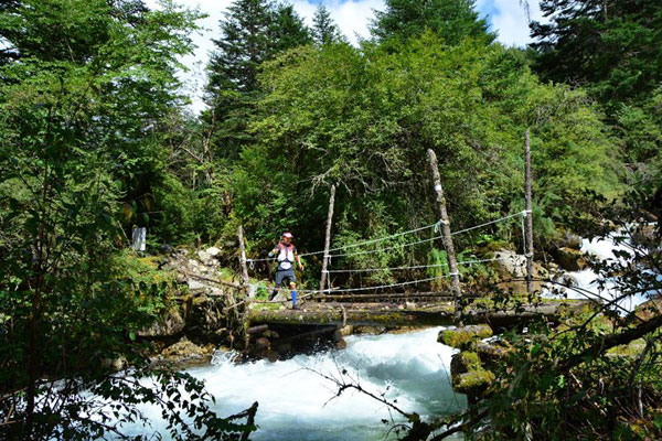 图片默认标题_fororder_2