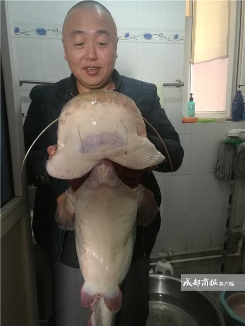 男子钓起长1.2米重28斤大鲶鱼 僵持近半小时