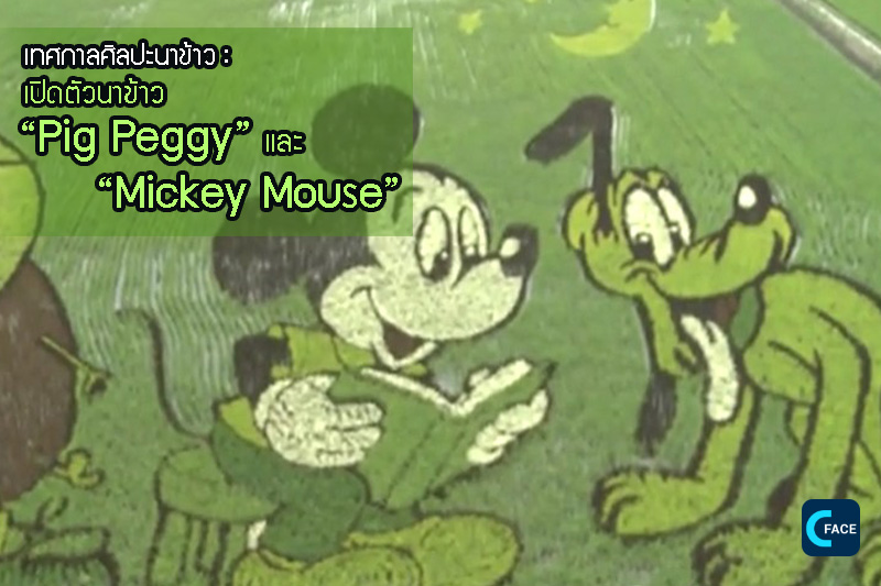 图片默认标题_fororder_02