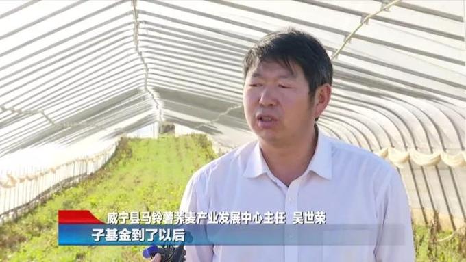 贵州威宁:子基金助力 大洋芋产业升级