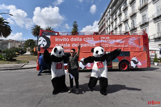 （转载）成都大熊猫在意大利有多红？一组数据感受一下