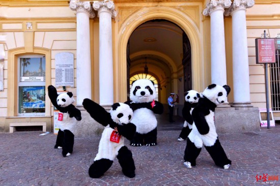（转载）成都大熊猫在意大利有多红？一组数据感受一下