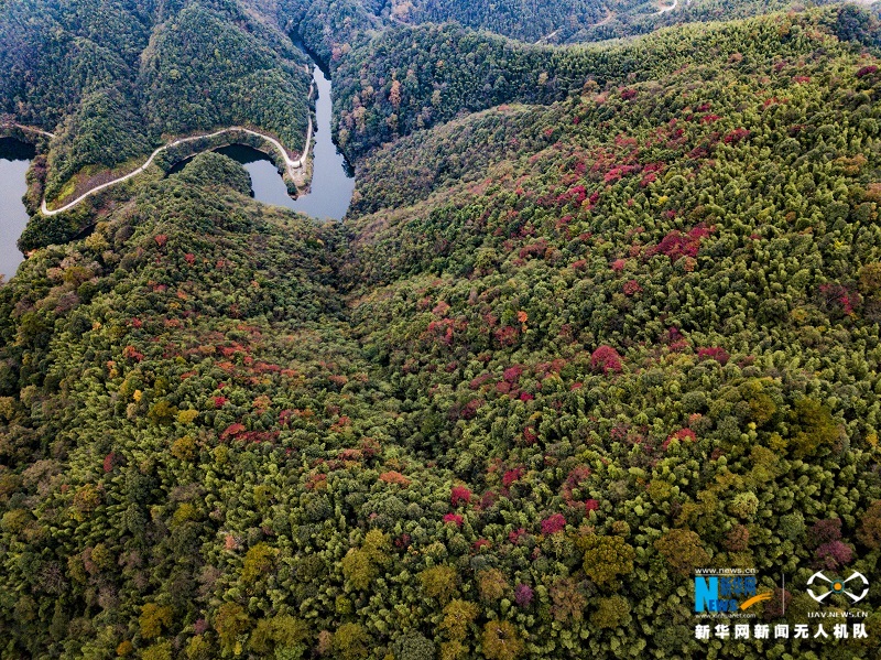 航拍江西宜丰官山自然保护区五彩斑斓胜似春景