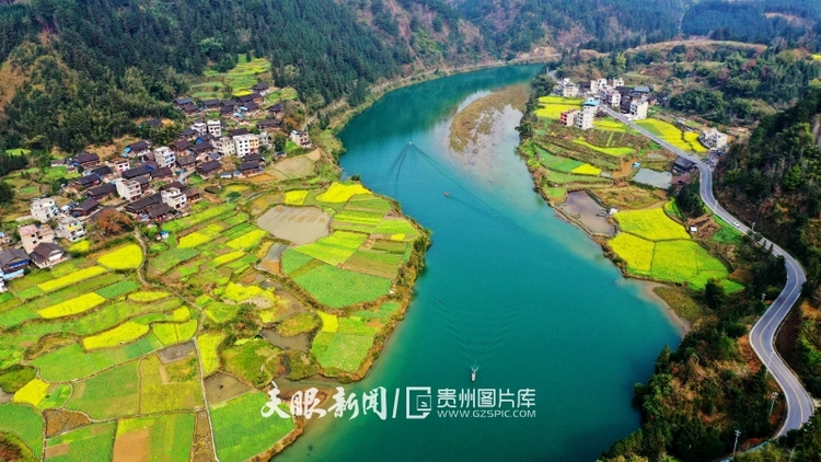 (中首)黔东南榕江:油菜花开乡村如画