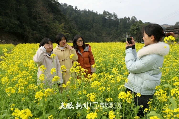 (中首)黔东南榕江:油菜花开乡村如画