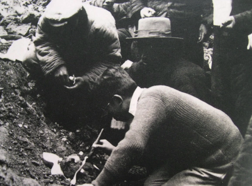 图片默认标题_fororder_1592055655167_925