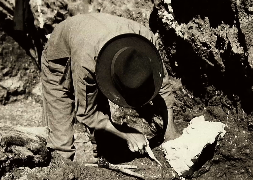 图片默认标题_fororder_1592055655772_184