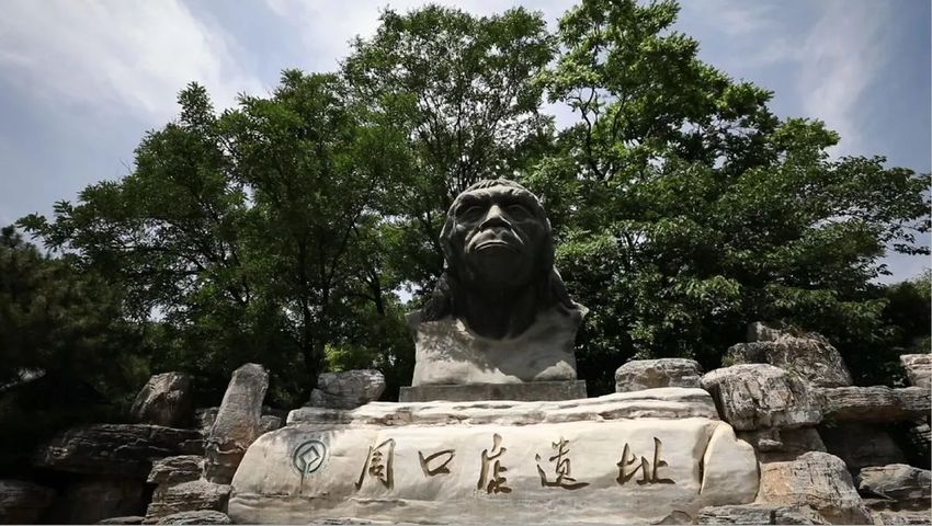 图片默认标题_fororder_1592055656573_418