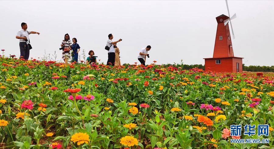 【城市远洋】【焦点图-大图】【移动端-轮播图】洛阳伊川：厚植发展优势 盘活沟域经济