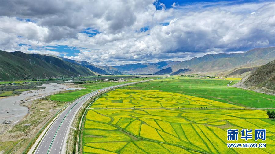 西藏：拉林公路夏日美