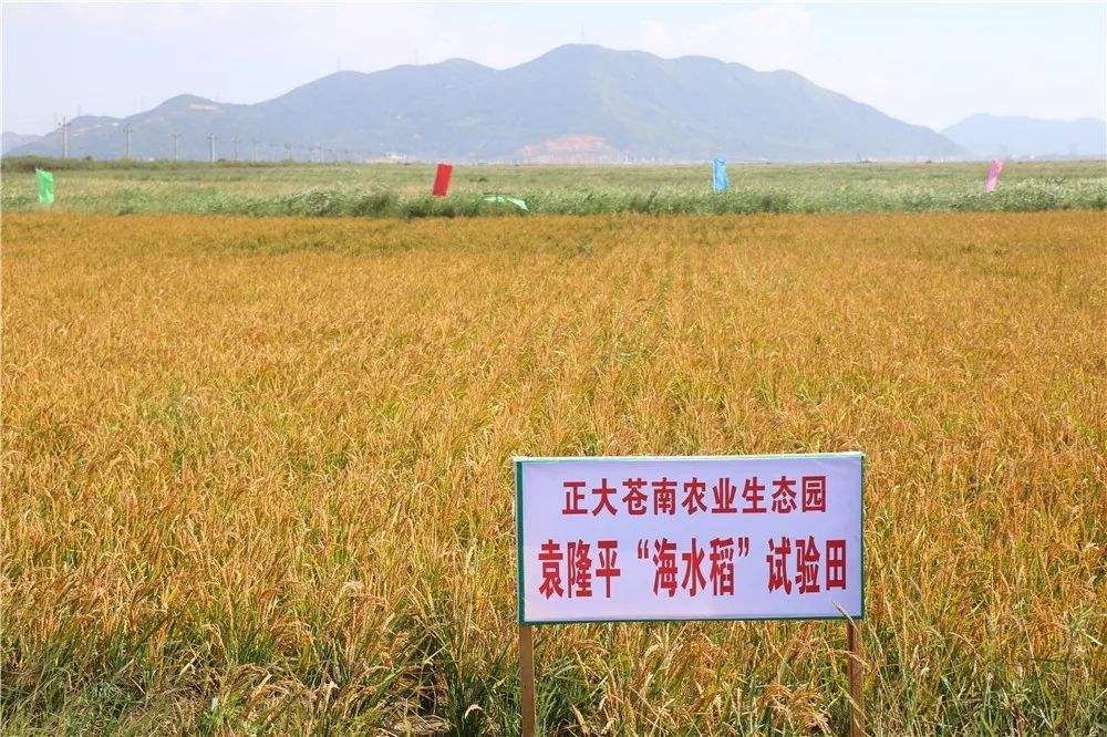 图片默认标题_fororder_timg (10)