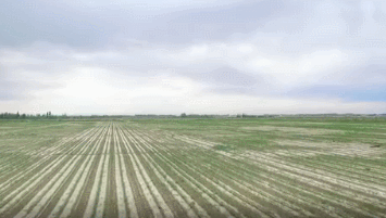 图片默认标题_fororder_640 (12)