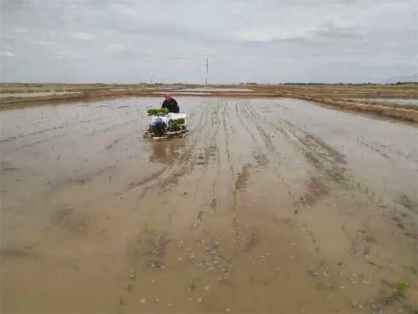 图片默认标题_fororder_haishuidao