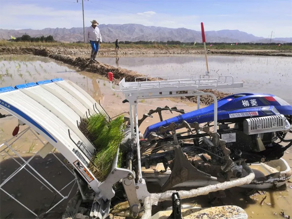 图片默认标题_fororder_haishuidao3