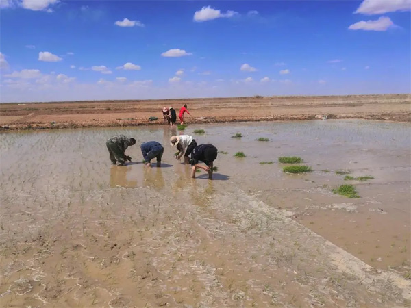 图片默认标题_fororder_haishuidao2