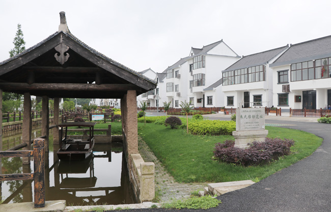 【看长江之变】“花开海上”让农民生活“开了花”