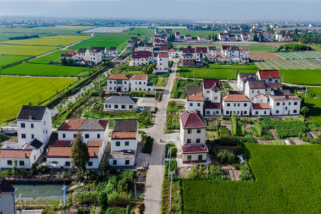 【看长江之变】“花开海上”让农民生活“开了花”