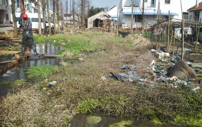 【看长江之变】“花开海上”让农民生活“开了花”