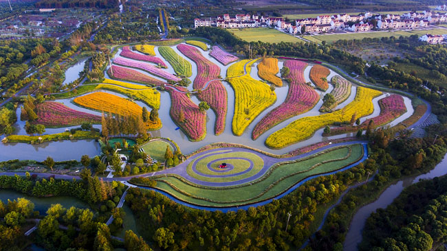 【看长江之变】“花开海上”让农民生活“开了花”