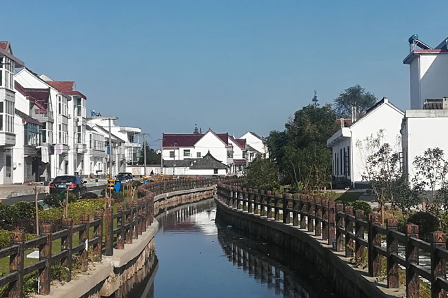 【看长江之变】“花开海上”让农民生活“开了花”