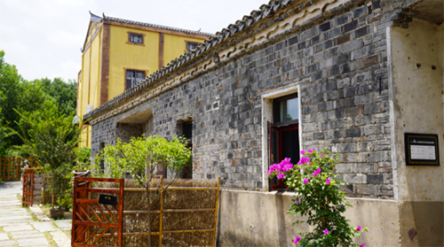 【看长江之变】“杜堂模式”点亮木兰花乡 收获美丽留住乡愁