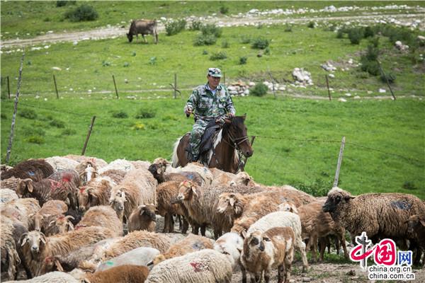 【边疆党旗红】高山牧场上一守就是26年，这位哈萨克族党员究竟为