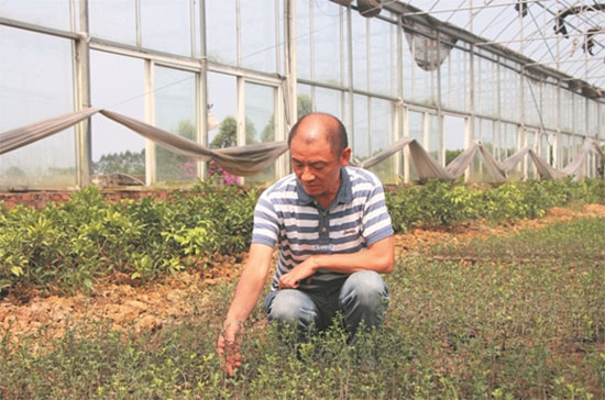 图片默认标题_fororder_1