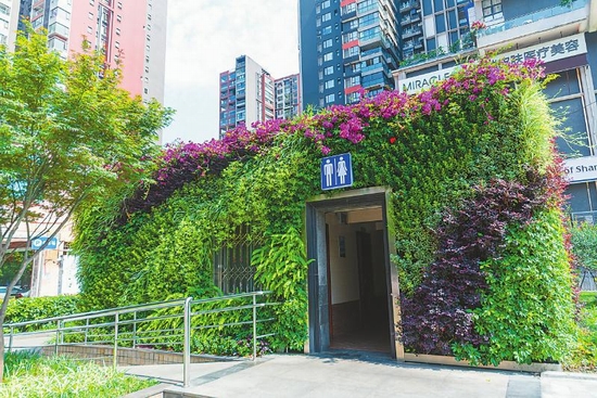 图片默认标题_fororder_1