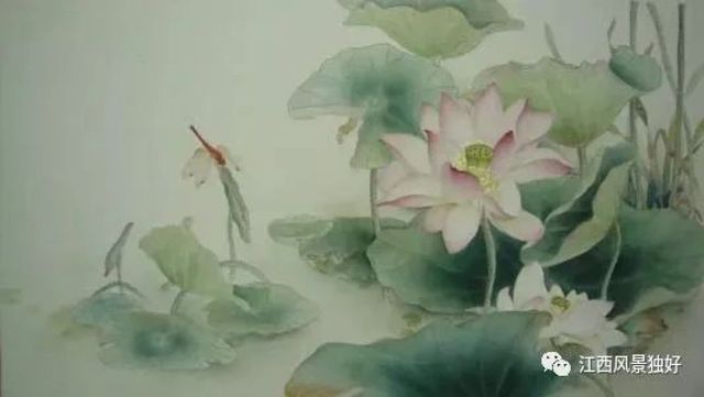 朱 虹 刘 晖：“映日荷花”杨万里