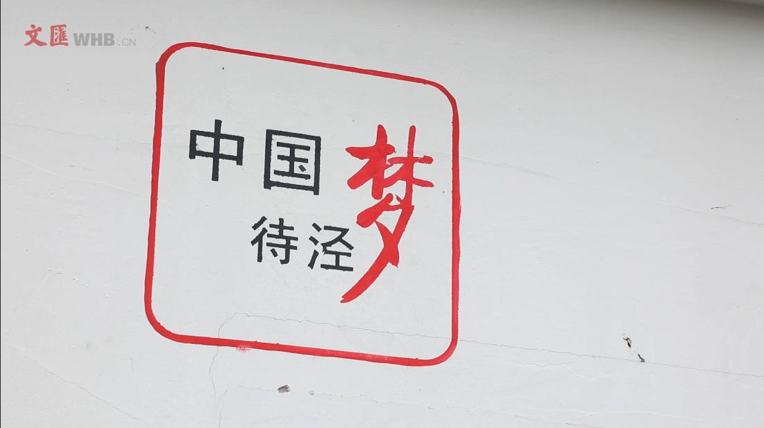 【看长江之变】视频直击 | 金山待泾村“花开海上”，更开在农民