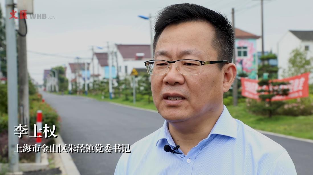 【看长江之变】视频直击 | 金山待泾村“花开海上”，更开在农民