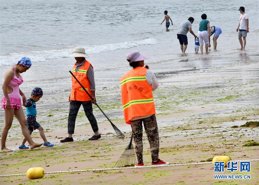 青岛：清理海滩迎客来