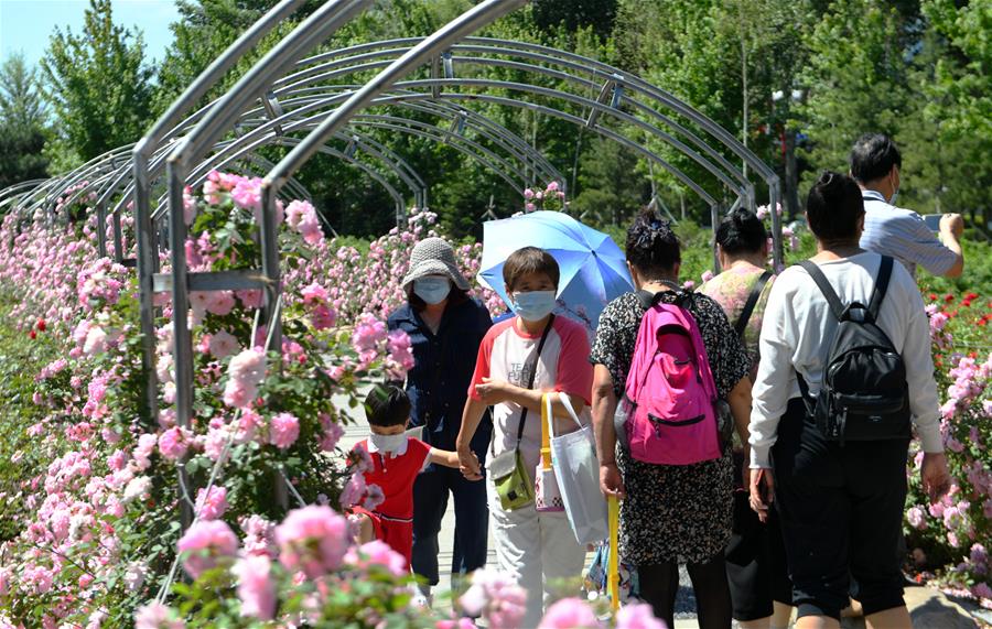 长春：花开迎客来