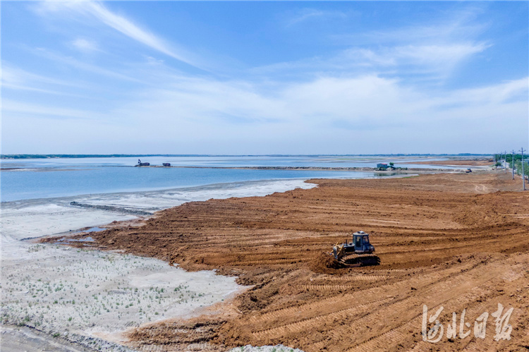 河北秦皇岛：七里海潟湖湿地生态修复进行中