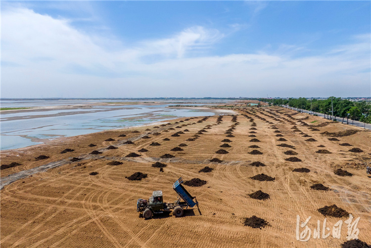 河北秦皇岛：七里海潟湖湿地生态修复进行中