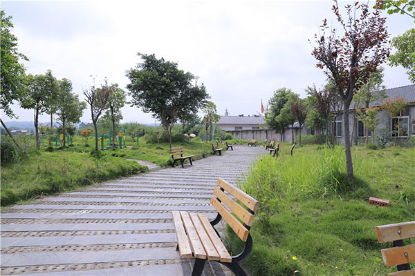 图片默认标题_fororder_1