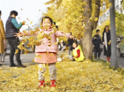 （魅力四川）冬日暖阳 晒出“杏”福生活