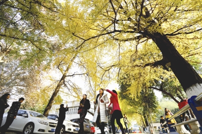 （魅力四川）冬日暖阳 晒出“杏”福生活