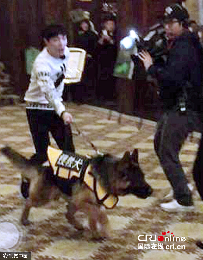 张艺兴牵狗现身酒店引围观 被狗反牵着跑显尴尬-国际在线