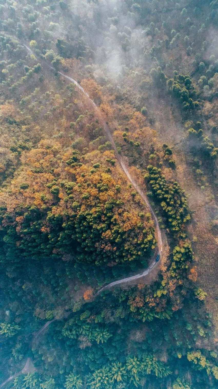 （转载）成都龙泉山：城市之巅