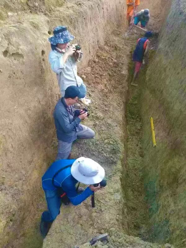 【先进典型风采录】遭遇7.4级地震与海啸？抓紧科研！——记中国