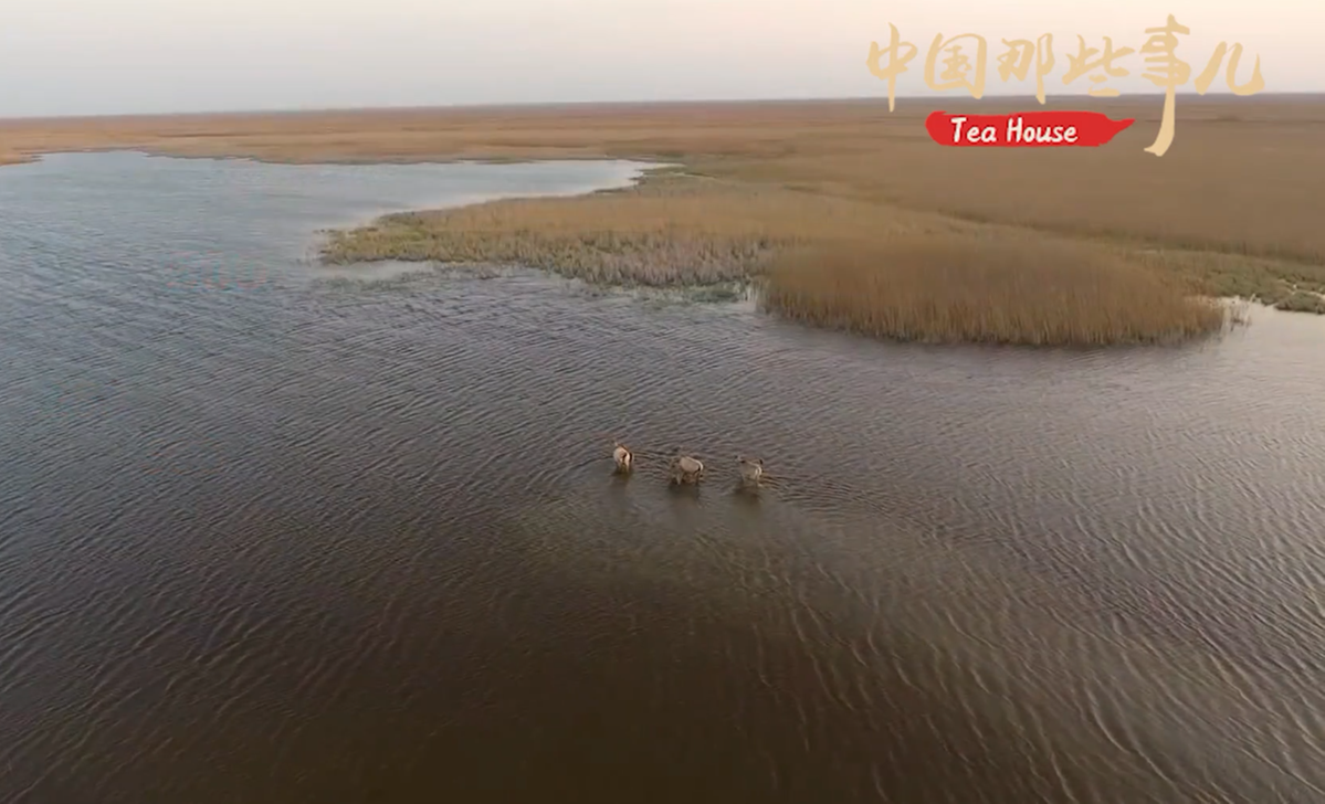 【中国那些事儿】 又获殊荣！世界遗产保护进入“中国时间”