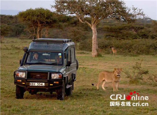 中国“狮子王”讲述非洲野生动物保护故事