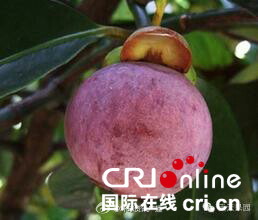 澜湄合作让世界离我们“越来越近”