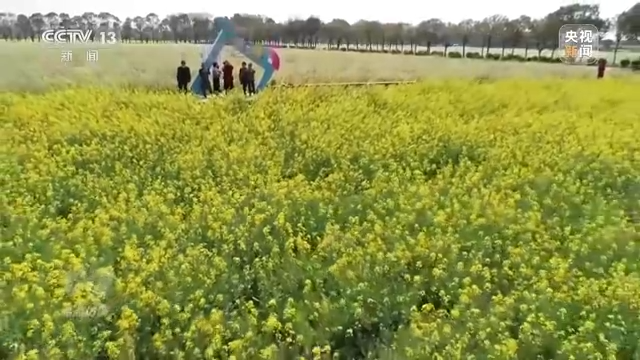 焦点访谈丨农业:走上高质量发展之路